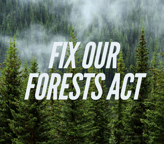 Fix our forests act text over image of forest 